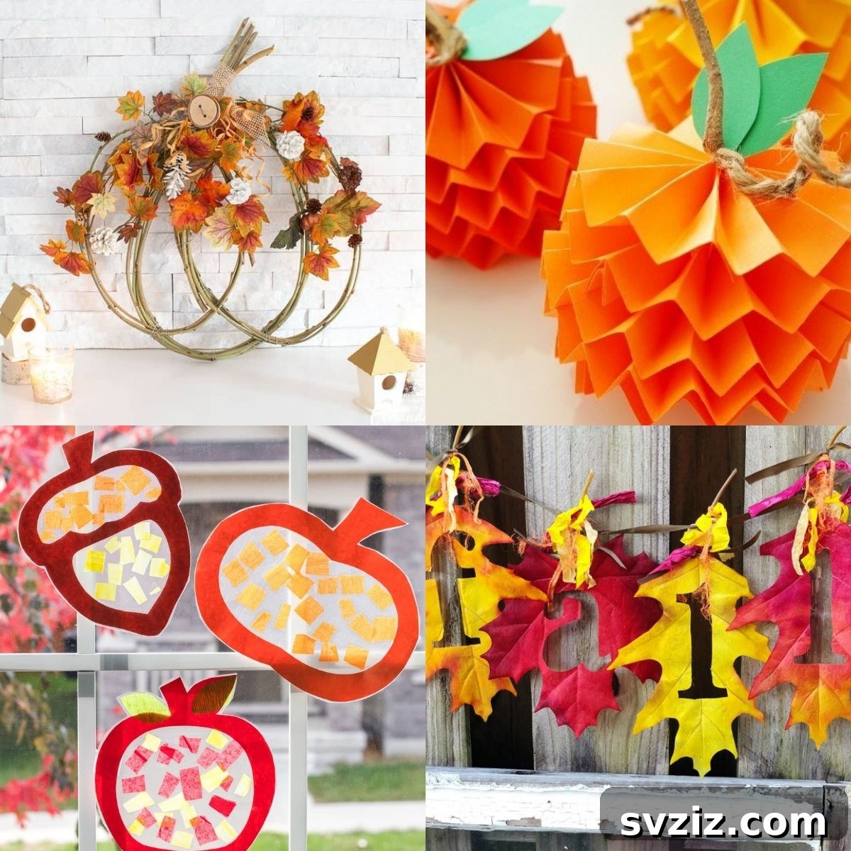 featured 11310
