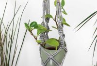 Craft Your Own Macrame Plant Hanger A Complete Guide