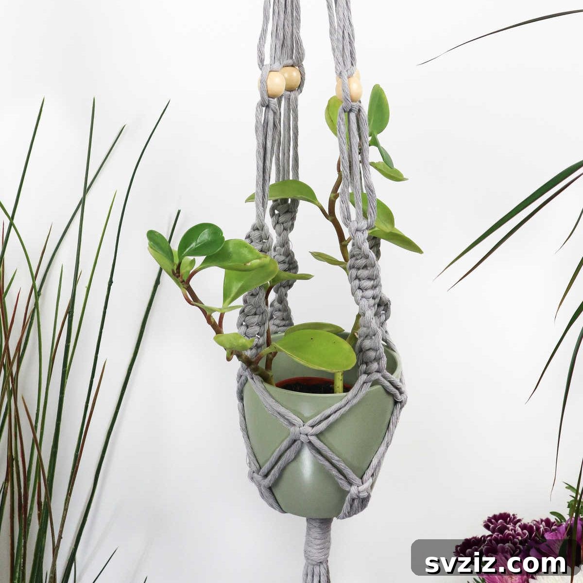 featured 14522