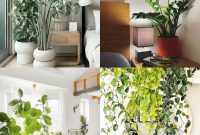 21 Ways to Create a Bedroom Oasis with Plants