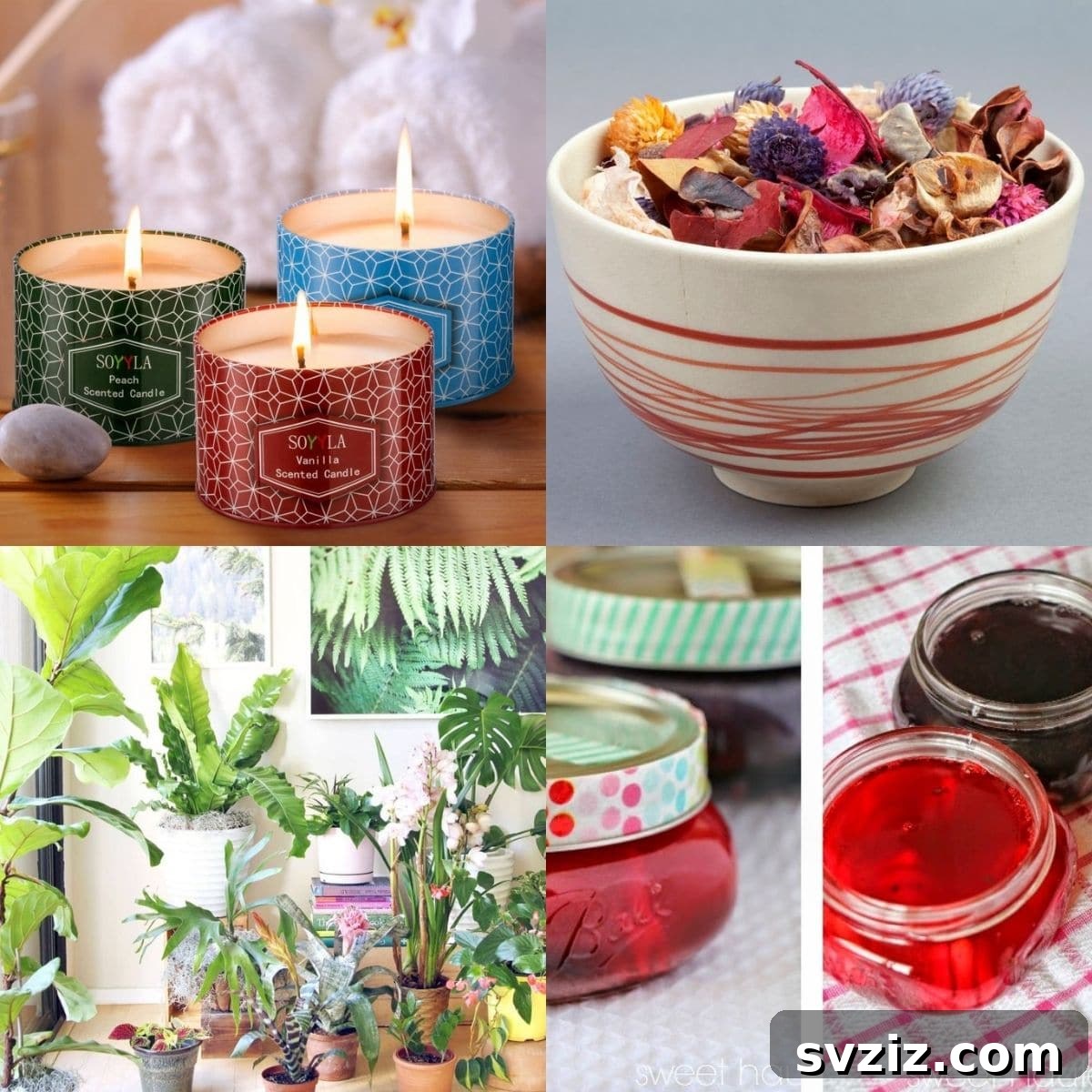 featured 264