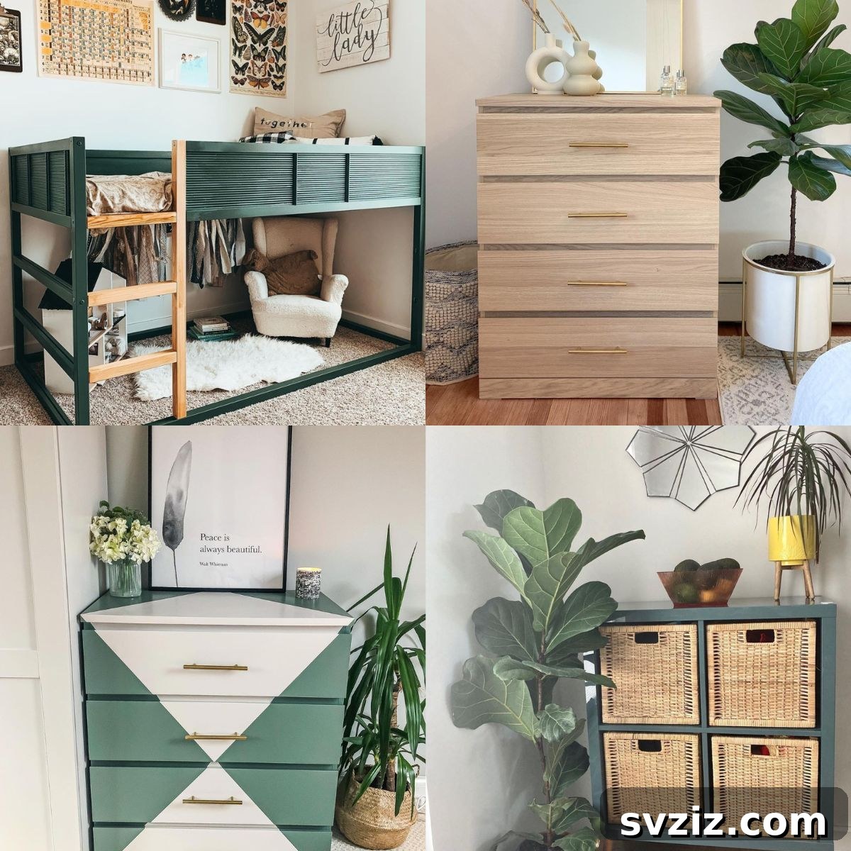 featured 26811