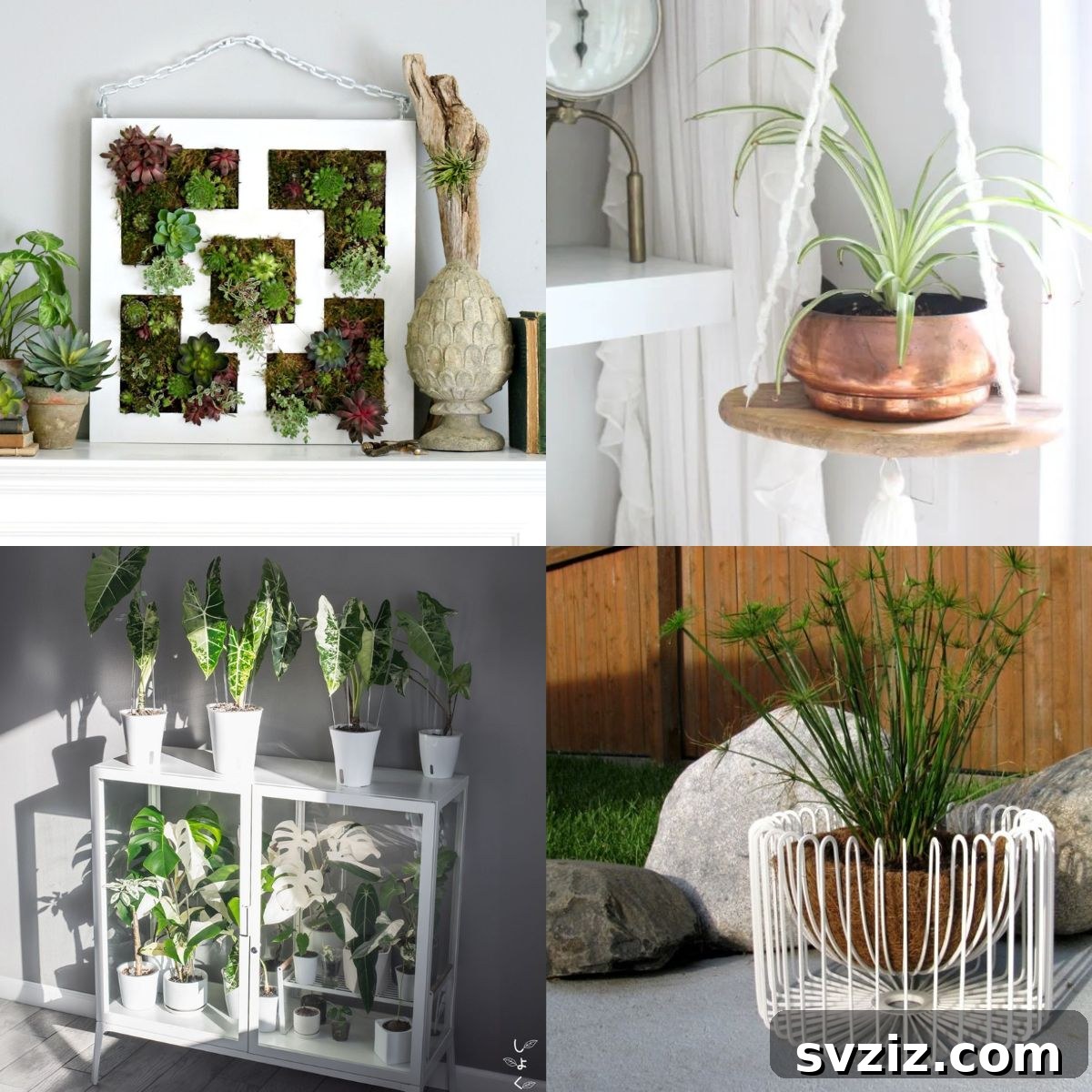featured 29281
