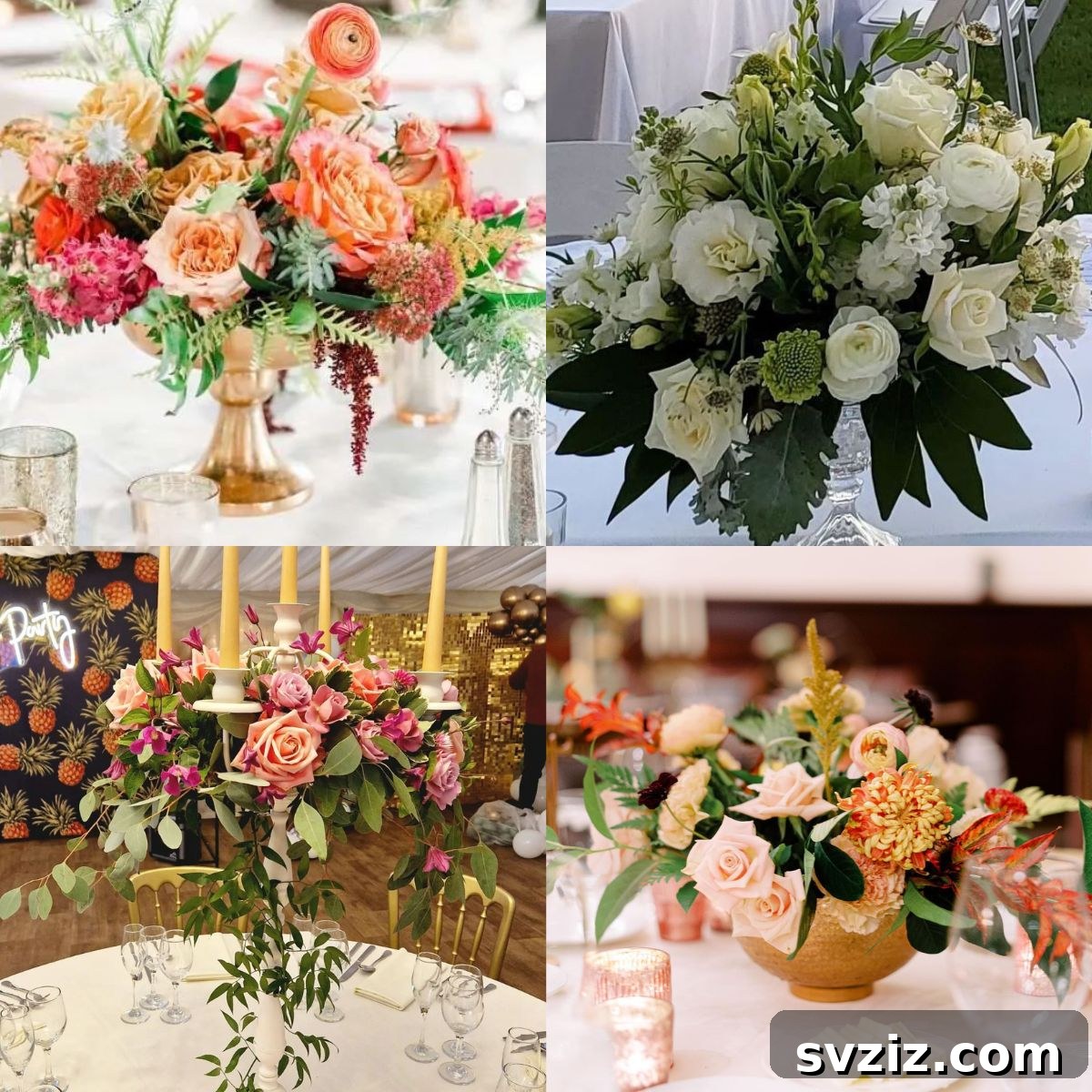 featured 29544