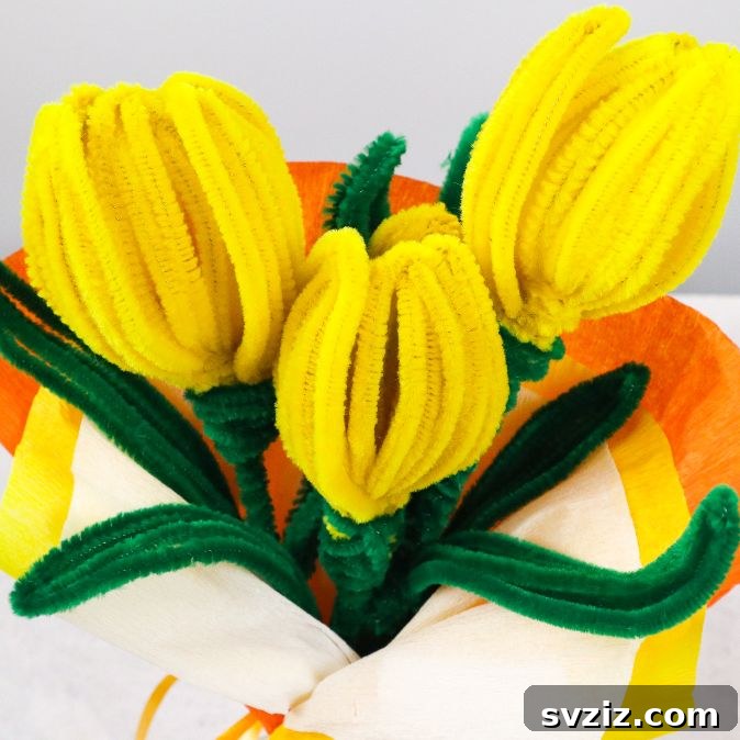 featured 39043
