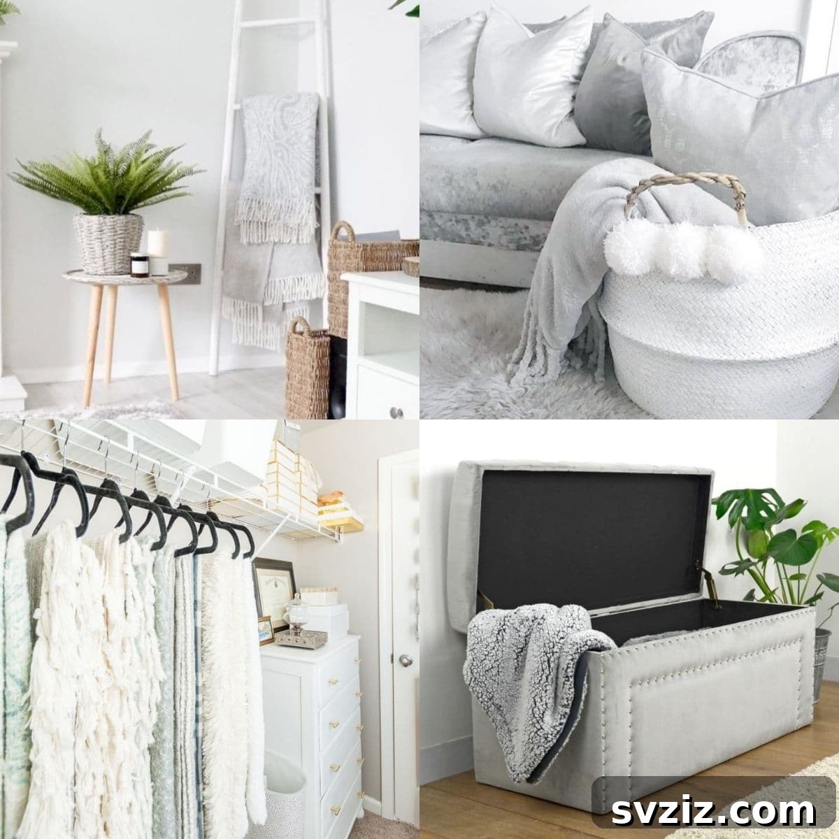 featured 8452