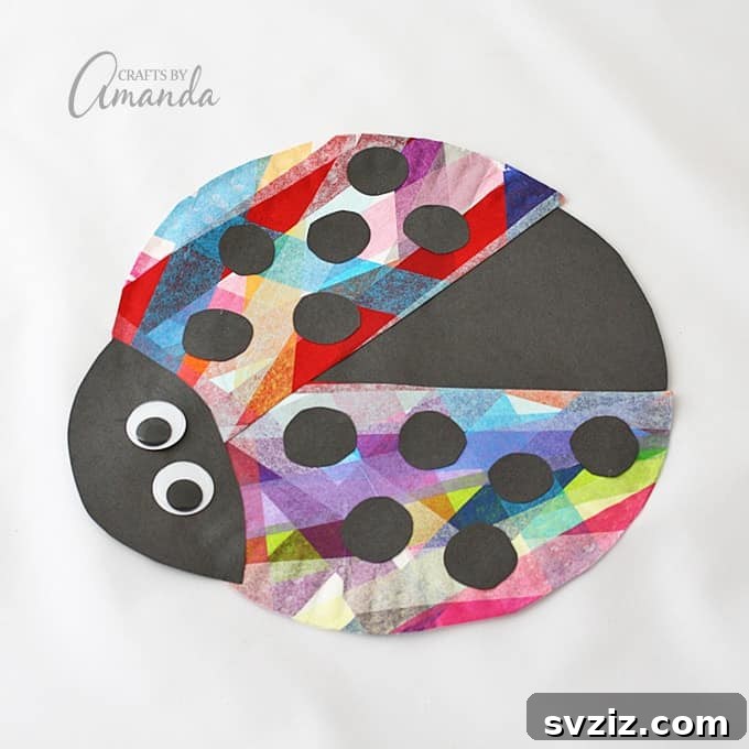 36 Creative Construction Paper Projects 32 Paper plate ladybug