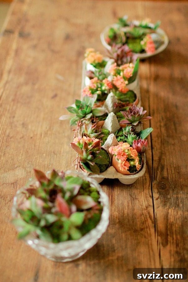 DIY Eggshell Planters