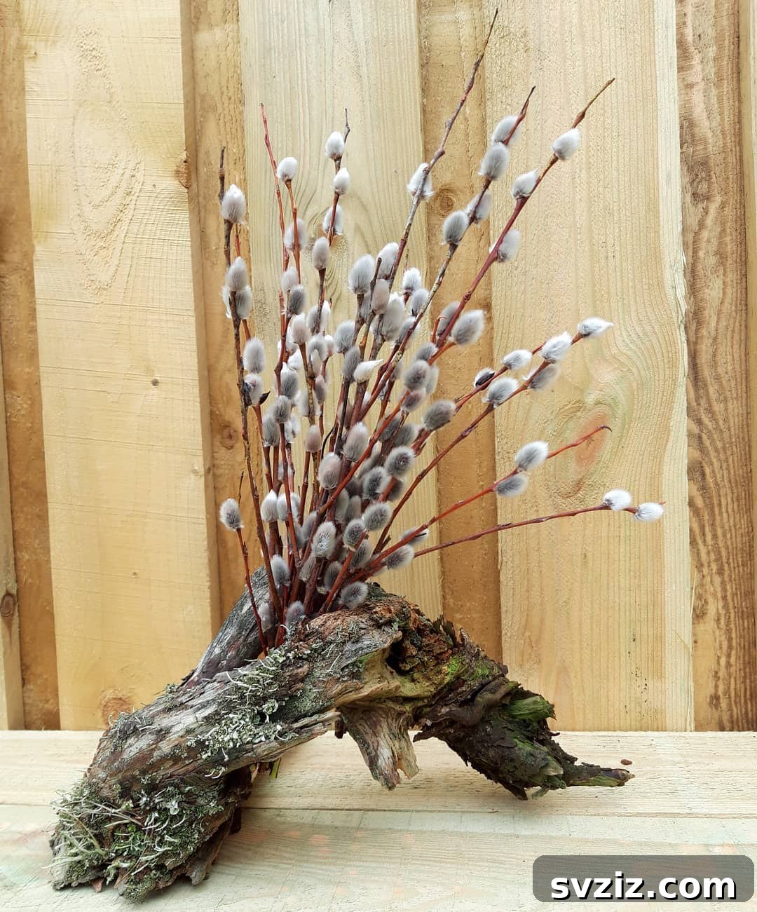 Forest Inspired Decoration