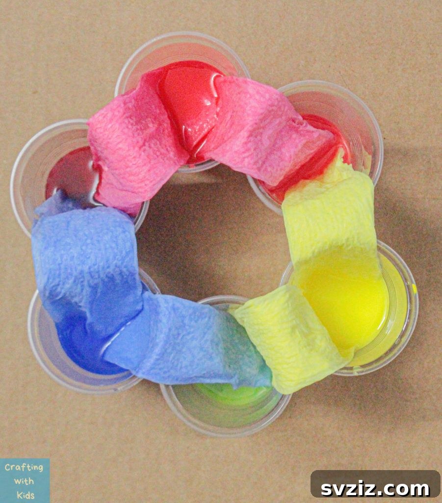 Kids performing a walking rainbow water experiment with colored water.