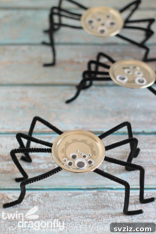 Spider Craft