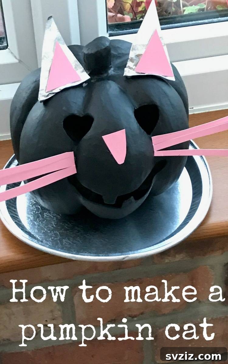 Pumpkin Cat