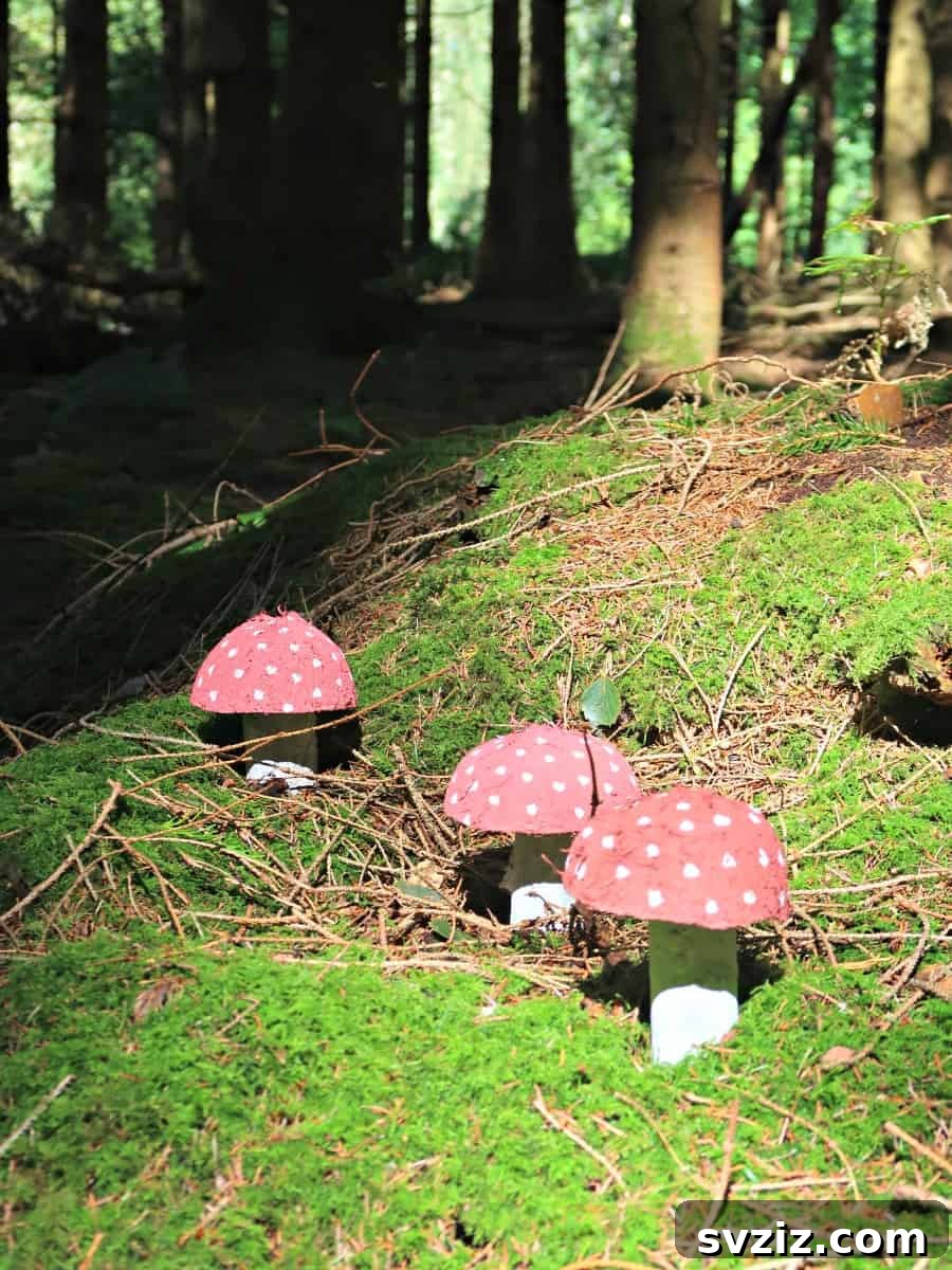 Fairy Toadstools