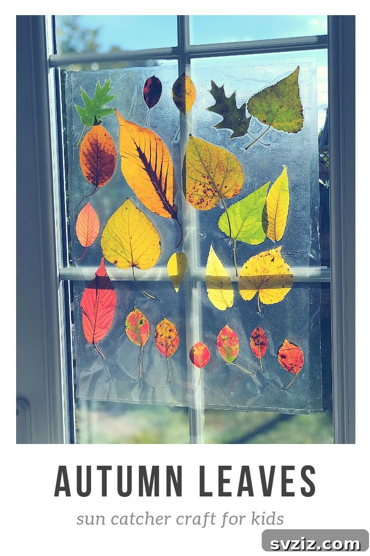 Autumnal Sun Catcher