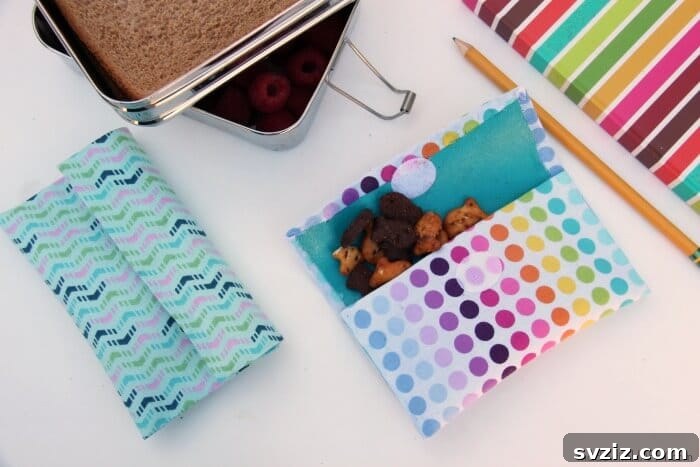 Reusable Snack Bag