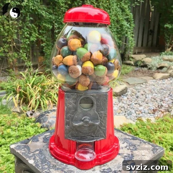 DIY Acorn Craft