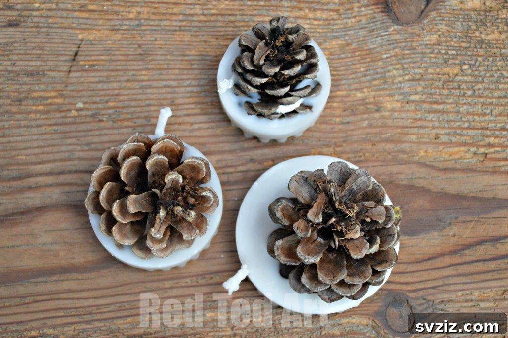 Charming Autumn Pine Cone Creations 26 Fire Starters