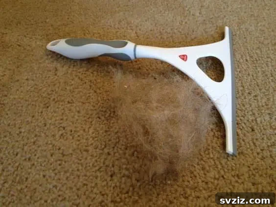 20 Brilliant Hacks for a Sparkling Spring Clean 15 Remove Pet Hair from Carpet with a Squeegee