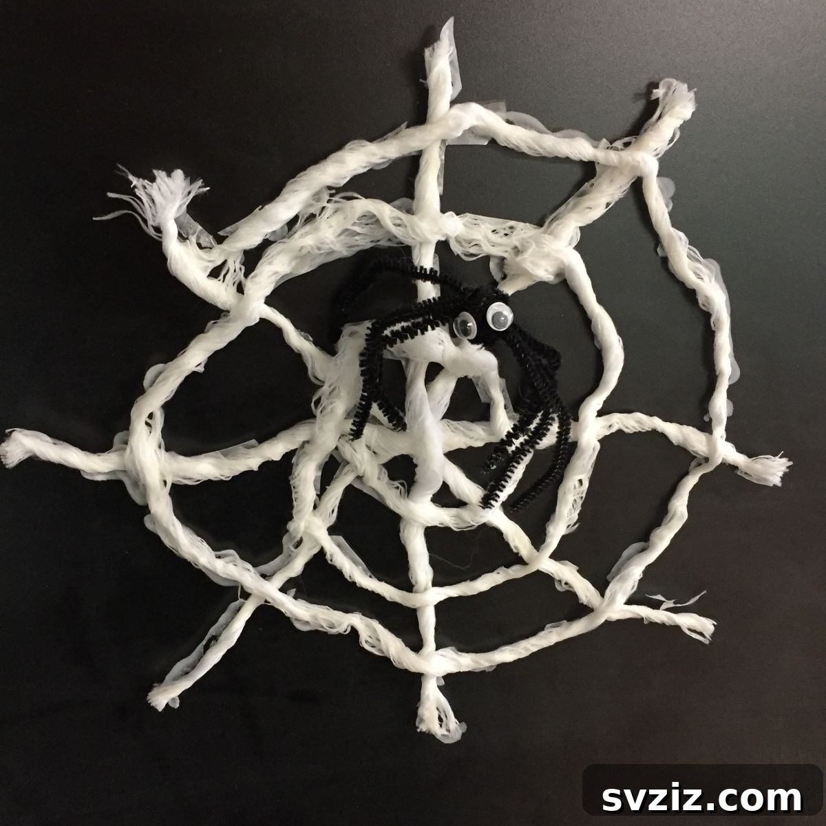 Spiderwick Chronicles Spiderweb