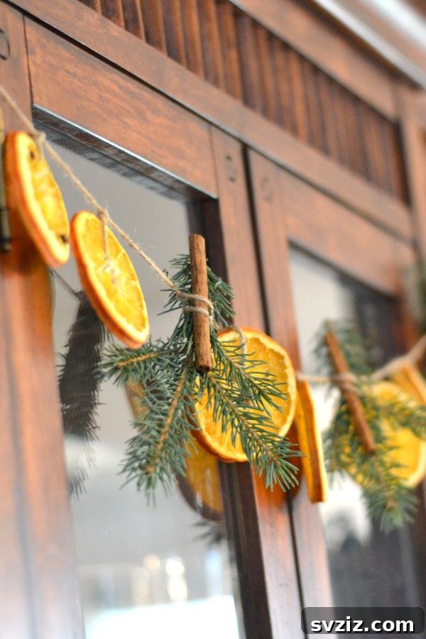 Dried Orange Garland