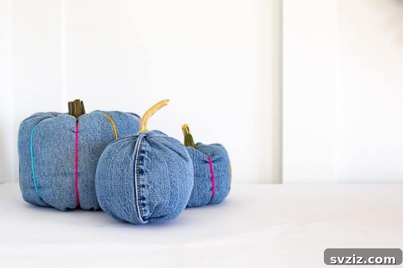 Old Jeans Pumpkins