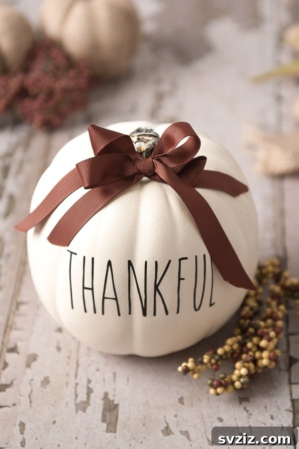 Cricut Thanksgiving Faux Pumpkin