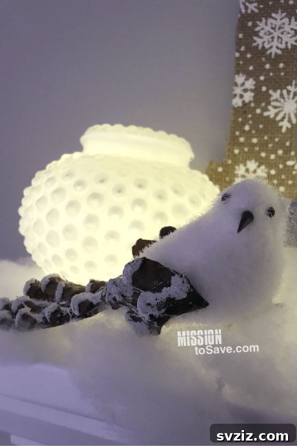 Repurposed Light Globes