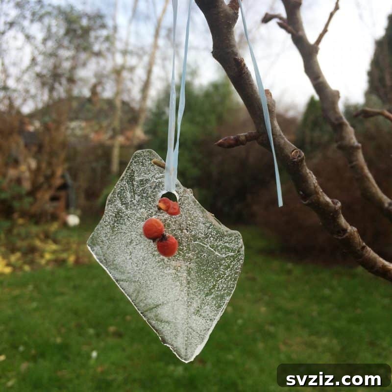 Ice Ornaments