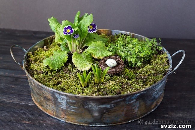 Fresh Farmhouse Spring Decor Ideas 21 Mini Moss Garden Spring Centerpiece for Farmhouse