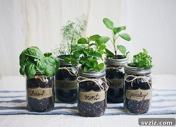 Fresh Farmhouse Spring Decor Ideas 5 DIY Mason Jar Herb Garden for Spring Farmhouse Kitchen