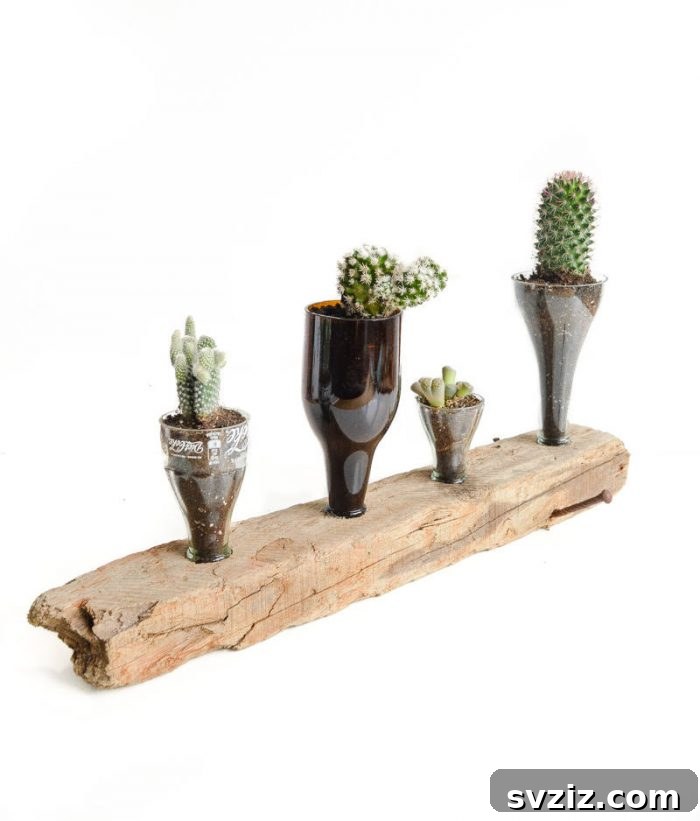 DIY Upcycled Wine Bottle Cacti Planter