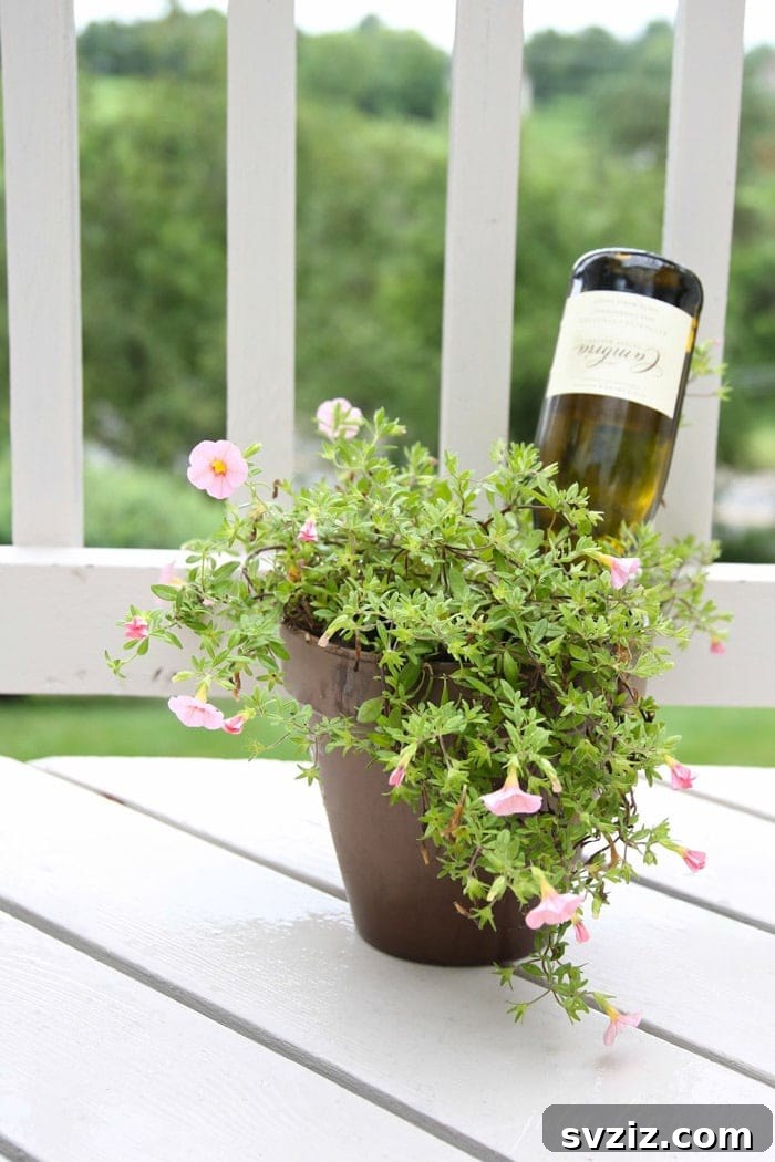 DIY Self-Watering System for Plants using Wine Bottles