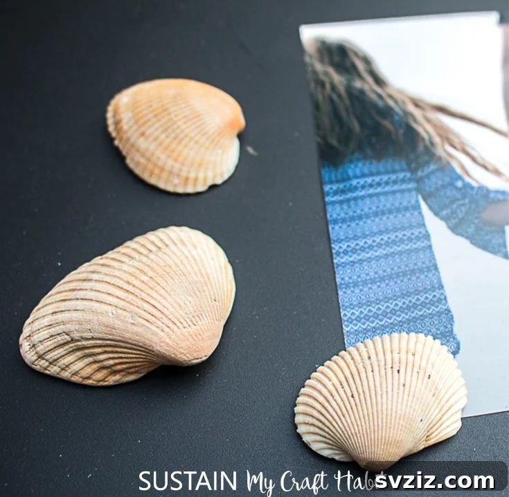 Seashell Decor: Craft Your Own Coastal Oasis 21 Seashell Magnet