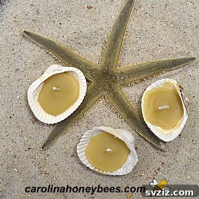 Seashell Decor: Craft Your Own Coastal Oasis 35 Seashell Candle With Beeswax
