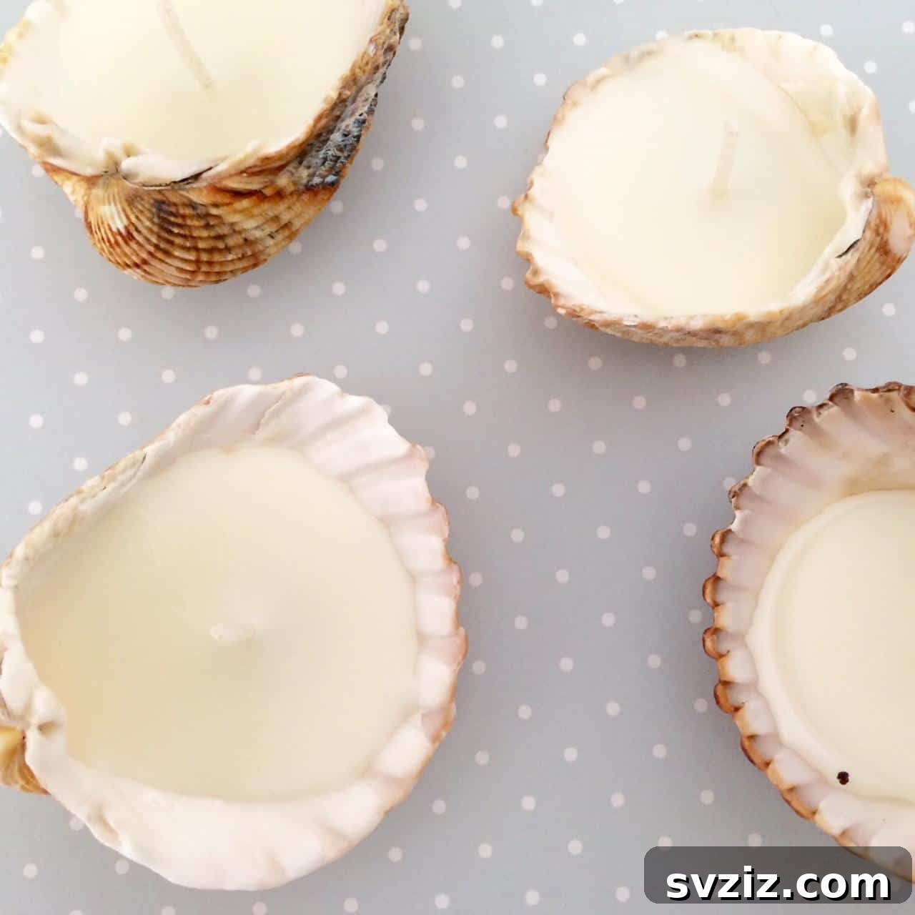 Seashell Decor: Craft Your Own Coastal Oasis 5 Seashell Candles