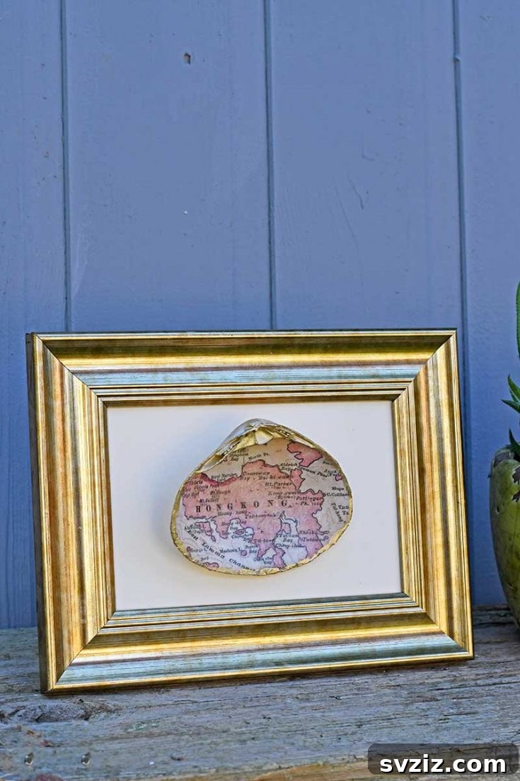 Seashell Decor: Craft Your Own Coastal Oasis 8 Map Seashell Gift