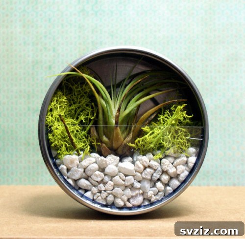 DIY Terrarium Magnets
