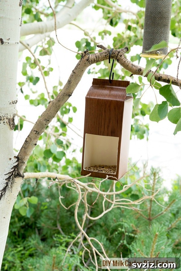 DIY Milk Carton Bird Feeder