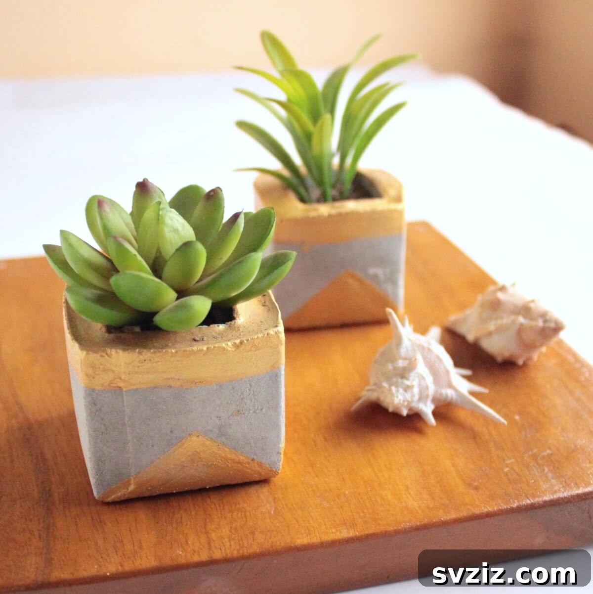 Concrete Succulent Planters