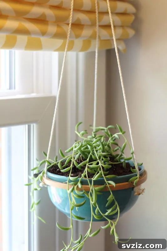 Hanging Succulent Planter