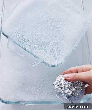Glassware Scrubber
