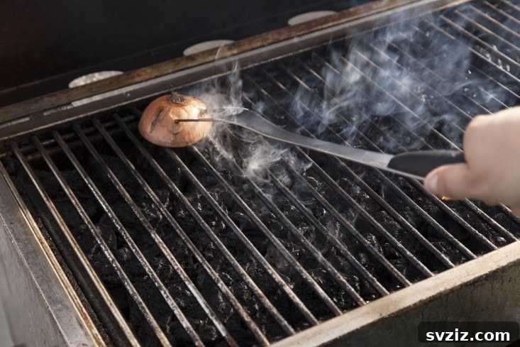 onions of grill