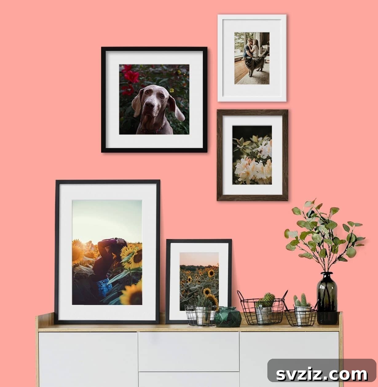 Framed Drawings or Photographs