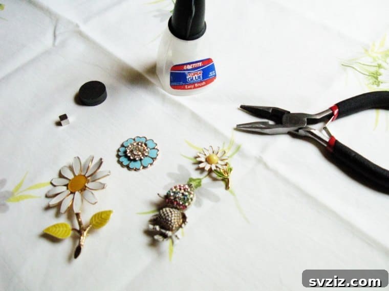 Brooch Magnets and Pins
