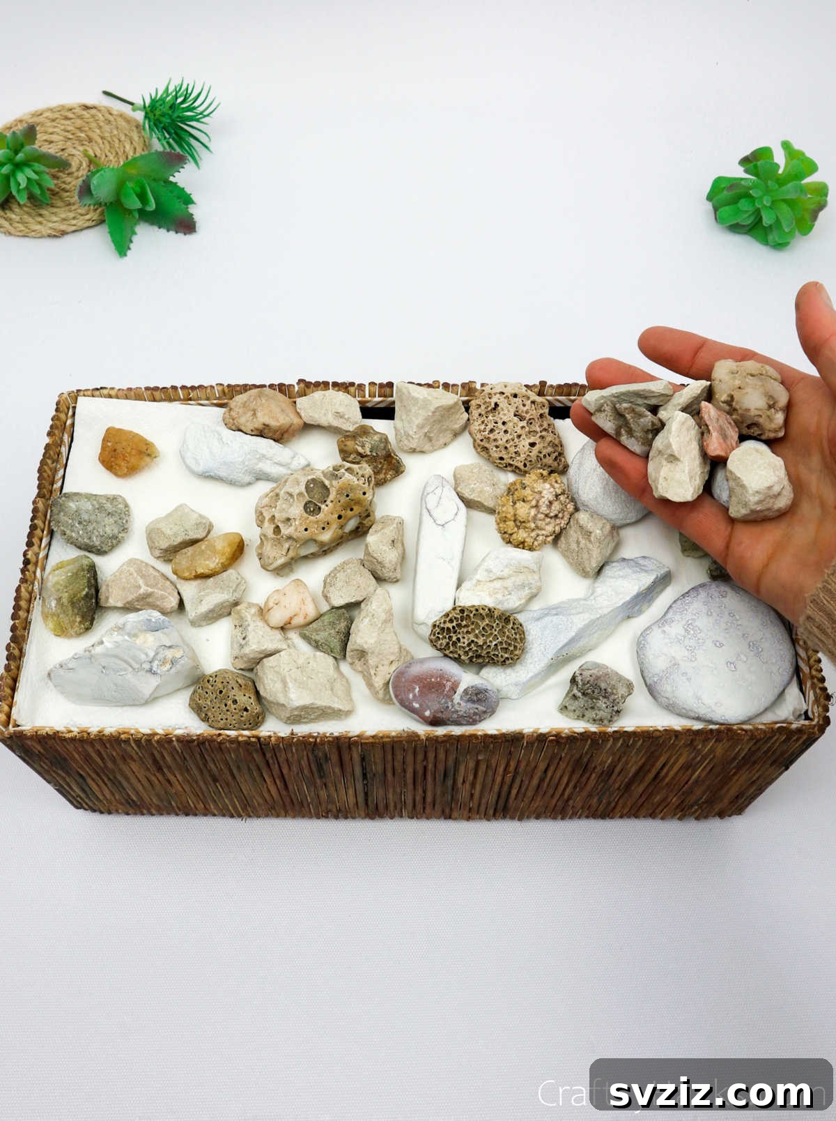 Boho Succulent Bliss: Your DIY Planter Guide 22 filling box with rocks