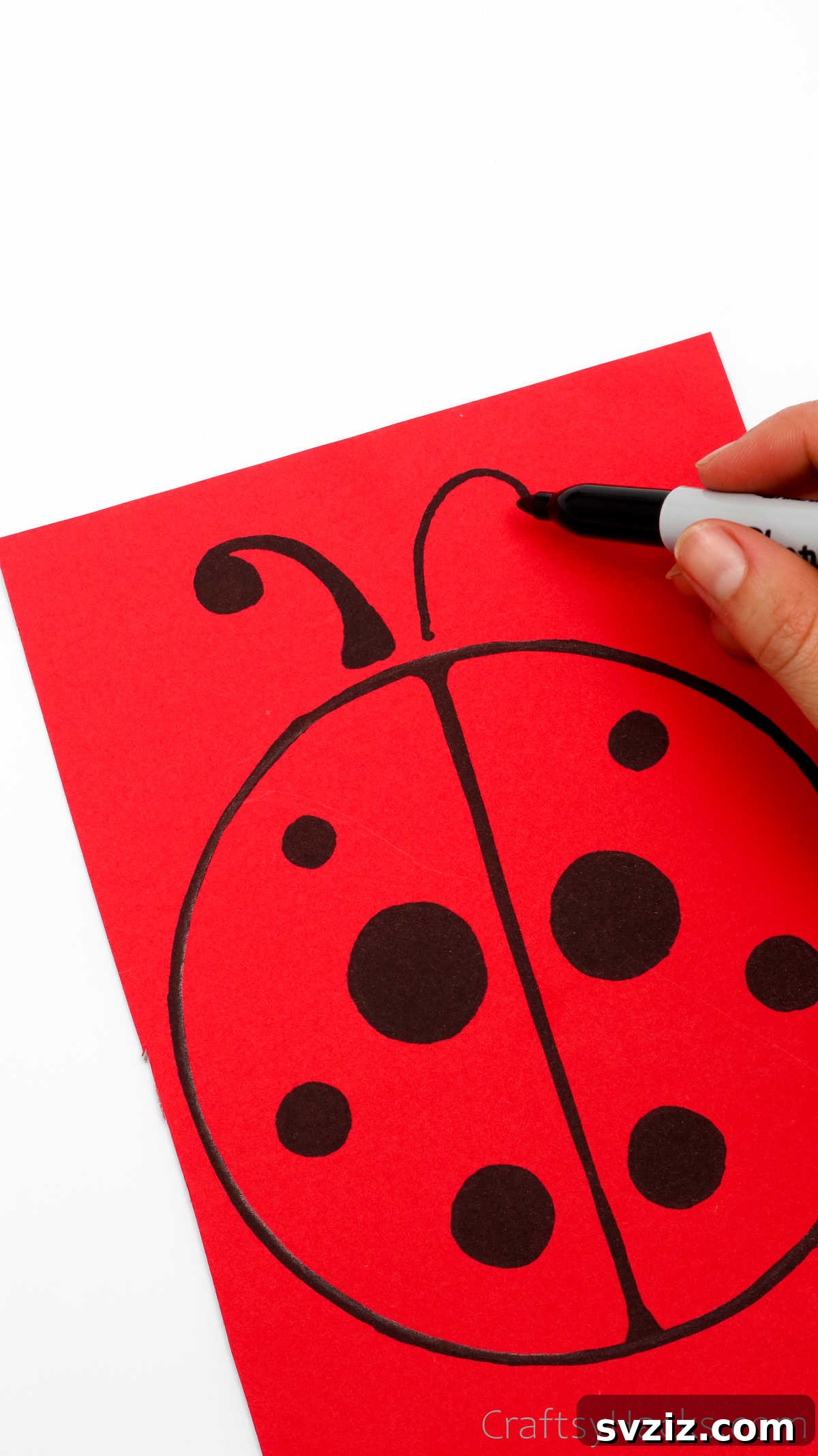 DIY Cardboard Tube Ladybugs 18 drawing antennas
