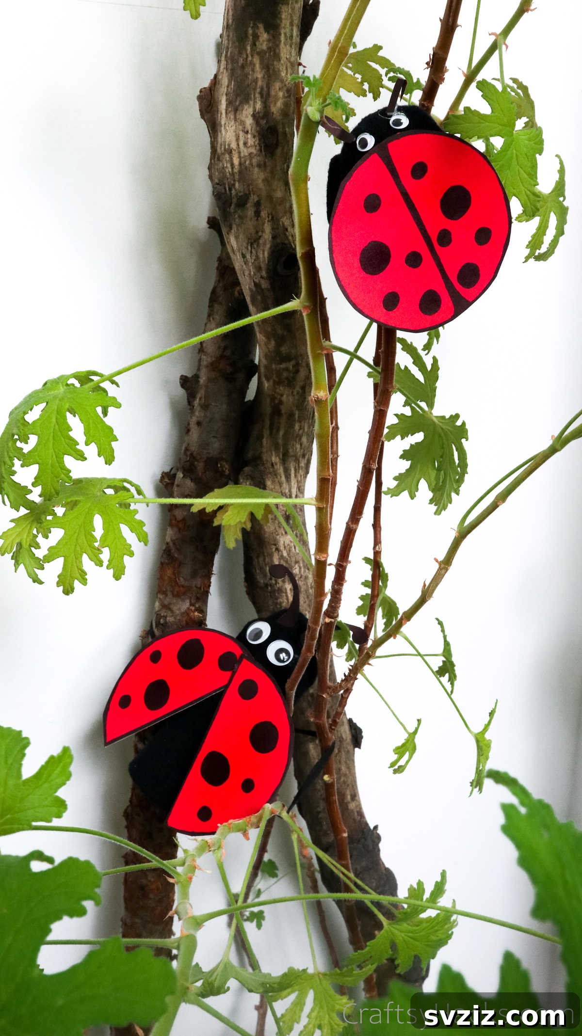 DIY Cardboard Tube Ladybugs 3 paper roll ladybugs in tree