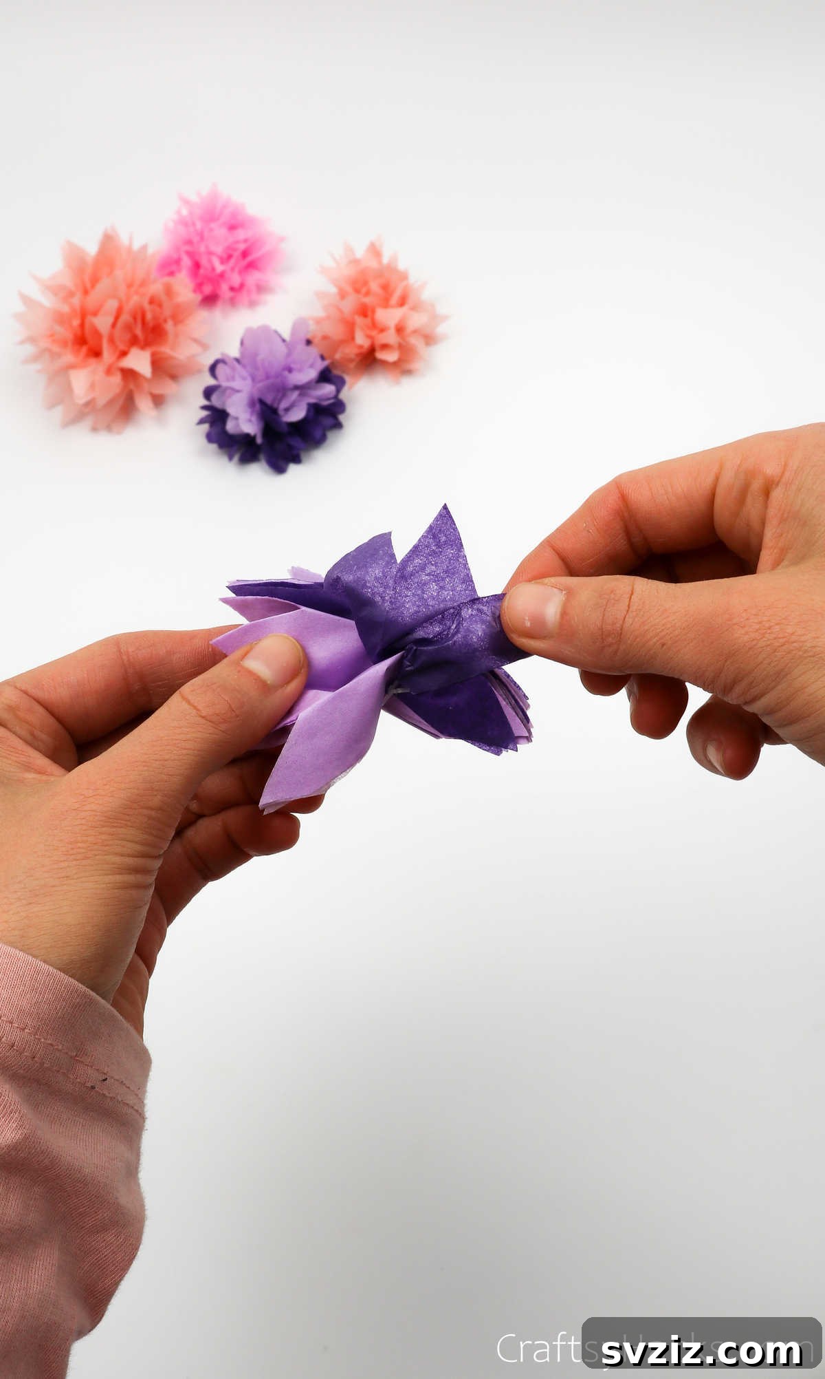 Partially unfolded tissue paper layers being gently fanned out to create the initial shape of a flower