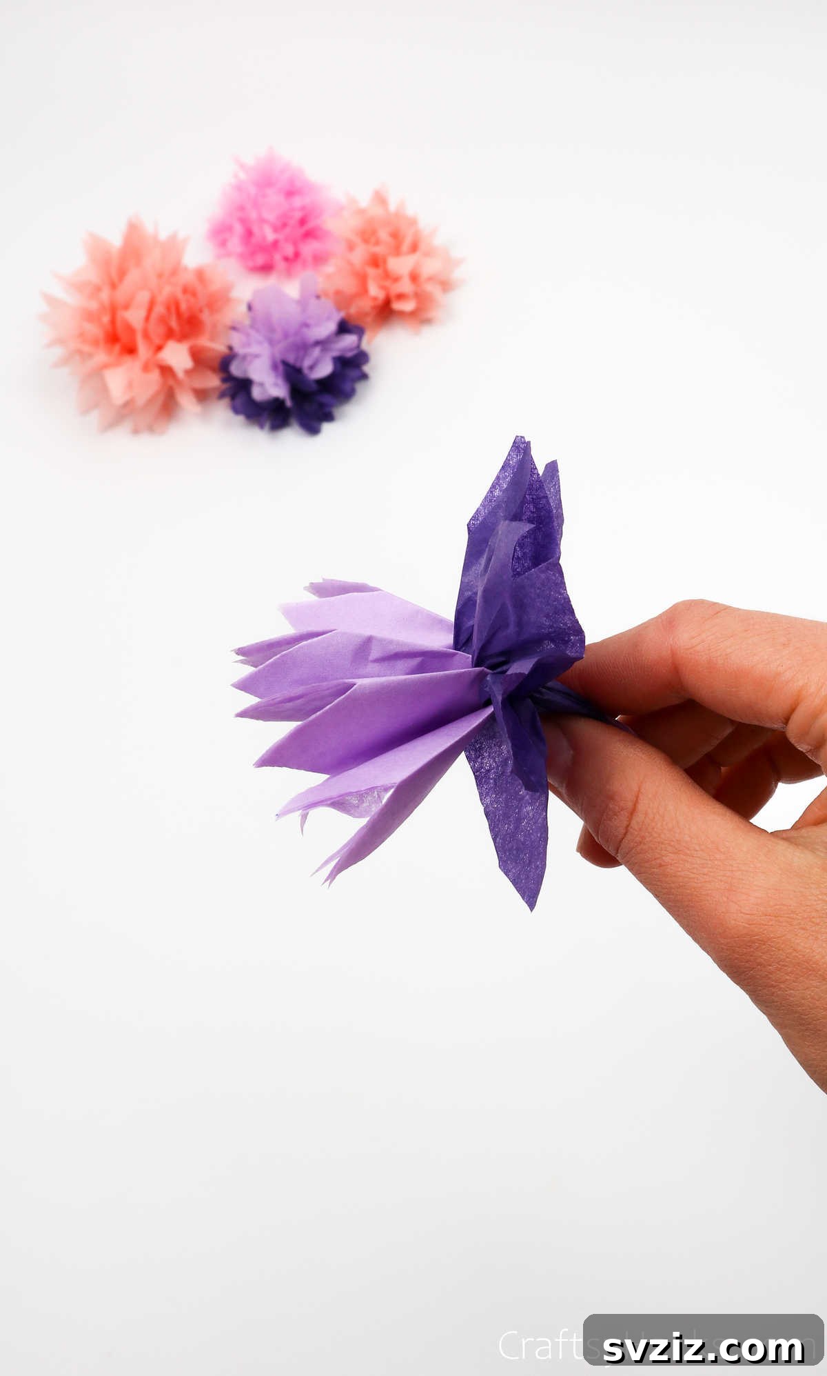 A half-unfolded tissue paper flower, showcasing how individual layers are being pulled apart to build volume and shape