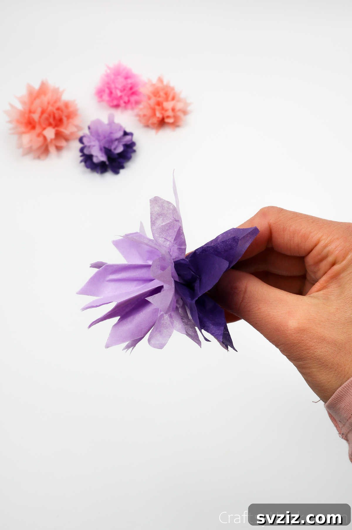 Further progress on unfolding a tissue paper flower, with more layers fanned out to create a lush appearance